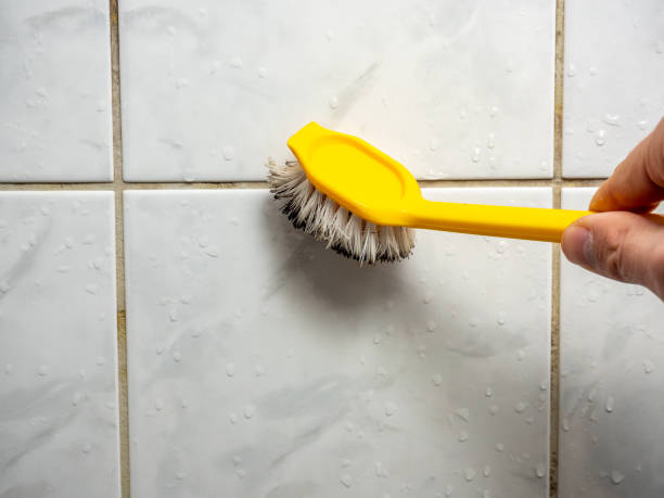  Angleton, TX Mold Removal Pros