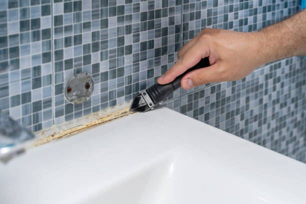 Best Emergency Mold Removal  in Angleton, TX