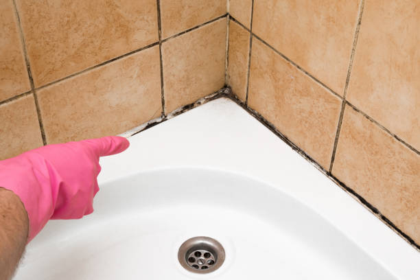Best Mold Remediation Experts  in Angleton, TX